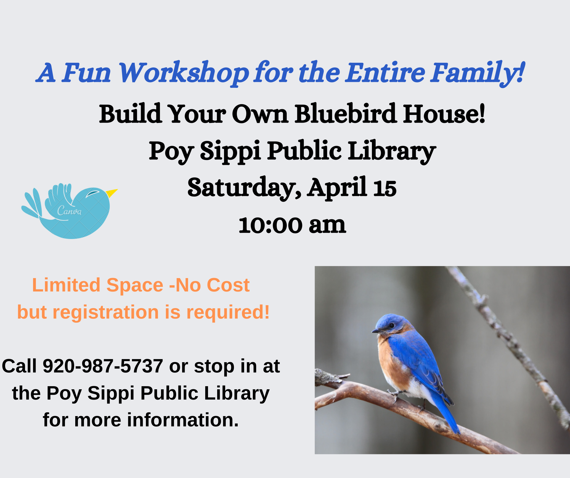 Build Your Own Bluebird House